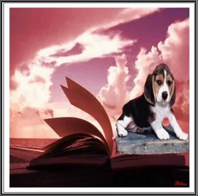 Qui a crit  Chiens perdus sans collier  ?