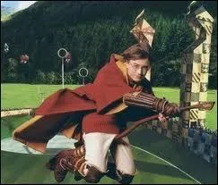 Au Quidditch, combien y a-t-il de buts ?