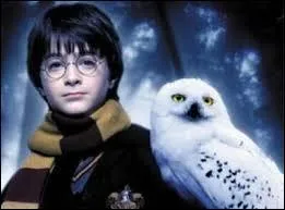 La chouette du hros, Hedwige, est un cadeau de la part ... pour ...