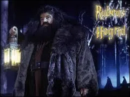 Quel rle joue Hagrid dans la vie de l'cole Poudlard ?