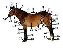 Comment s'appellent la partie 21 et la partie 1 ?