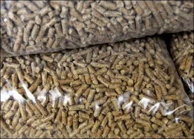 La biomasse est une nergie...