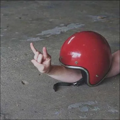 Quelle est la particularit de l'escargot ?