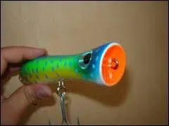 Quel est le type de leurre sur cette photo ?