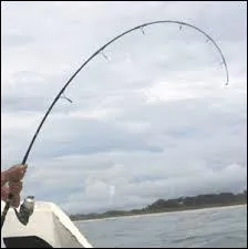 Quel poisson ne se trouve pas dans les eaux franaises ?