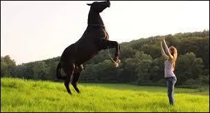 Dans quel film peut-on observer cette scne ?