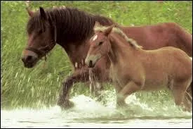 Dans quel film peut-on observer cette scne ?