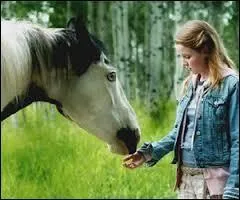 De quel film est tire cette scne ?