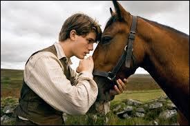 Quiz Chevaux