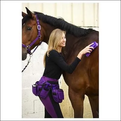 A quoi sert le pansage ?