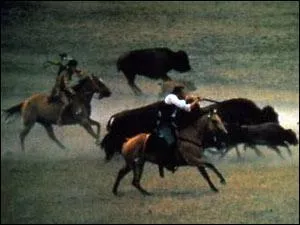 Dans ce mme western, la ralisation de la scne de la chasse aux bisons a ncessit des moyens hors-norme. Parmi les trois propositions, laquelle reflte le dispositif pour cette scne de quelques minutes ?