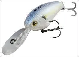 Quel est ce type de leurre ?