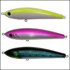 Quel est ce type de leurre ?