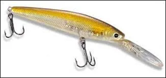 Quel est ce type de leurre ?