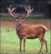 Qu'est-ce que le hre ?