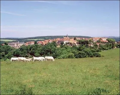 Quelle jolie petite cit de Cte-d'Or est connue pour ses dlicieux bonbons  l'anis ?