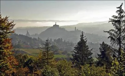 Le Puy en Haute-Loire est renomm pour un lgume sec, lequel ?