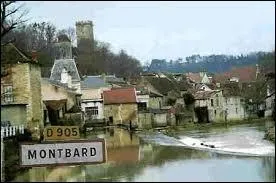 Dans quel dpartement pourrez-vous visiter Montbard qui vit la naissance du naturaliste Buffon en 1707 ?