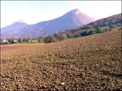  l'poque de Solon, les Grecs sont diviss en deux grandes catgories. Les eupatrides, qui dtiennent les terres et le pouvoir, et les autres. Parmi ceux-ci, il y a les marins, les artisans etc... dont les eupatrides ont besoin ! C'est en partie sous leur pression que les rformes natront. Dans la seconde catgorie, quelle est la classe que je n'ai pas cite (majeure partie de la population) ?