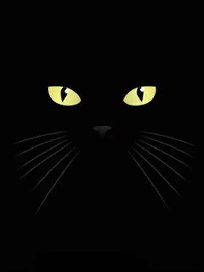 Quel est l'ancien nom de OieSauvage ?