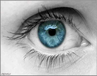 Qui est la sous-lieutenante ?