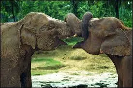 Avant 1972, quel nom dsignait le Sri Lanka ?