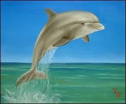 Comment s'appelle le petit du dauphin ?