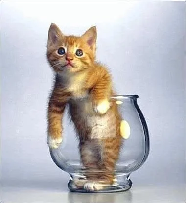 Cochez la matire qui n'est pas un solide.