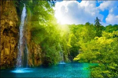 Le pyrrhocore est le nom scientifique franais attribu  l'insecte communment appel  gendarme .