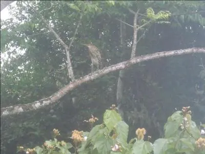 Trouvez ce titre de film !