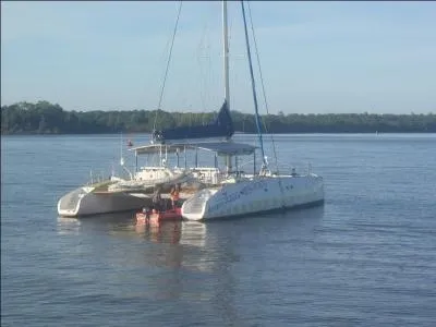 Qui a dit : Je n'ai jamais assist  des courses de spermatozodes mais j'ai donn beaucoup de dparts ?