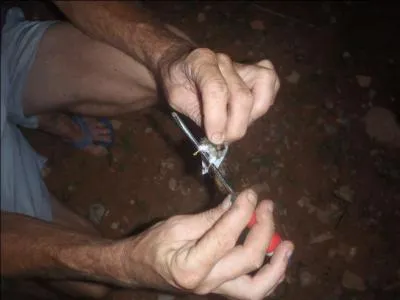 Trouvez le titre de ce film, avec Oliver Reed et Klaus Kinski !