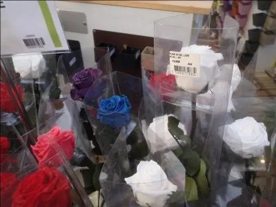 A quel pote cette photo vous fait-elle penser ?