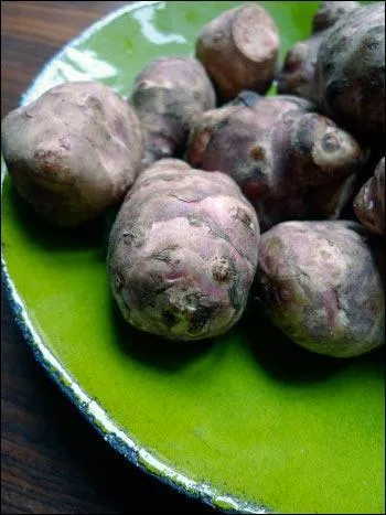 Quel est cet autre lgume racine, dont la destine est la mme que le prcdent ?