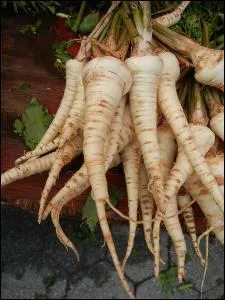 Quel est ce tubercule ? De celui-ci, on consomme la racine, ses autres varits sont trs connues pour l'utilisation de leurs feuilles en cuisine.