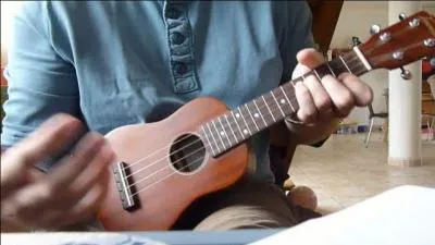 Quel est cet instrument ?