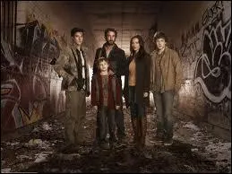 Quelle est cette srie ?