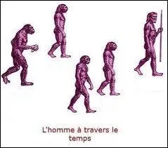 Qui est apparu en dernier lieu ?