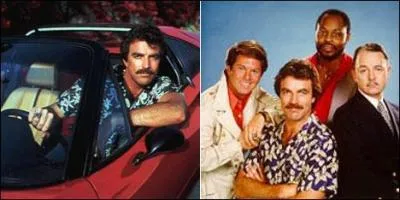 Quelle est cette série ?