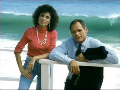 Quelle est cette série ?