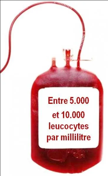 Bon sang, mais c'est bien sr, c'est lui !