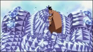 Quelle attaque utilise Joz pour vaincre Crocodile ?