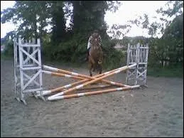 Serez-vous deviner le nom de cette obstacle ?