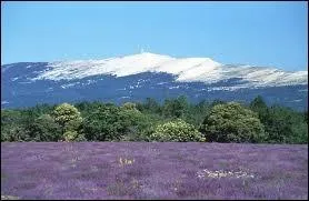 Quelle est la plus haute montagne du Vaucluse ?
