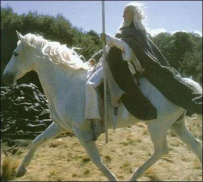 Comment s'appelle le cheval de Gandalf ?