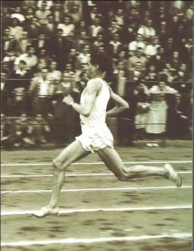 Hansenne a t un trs grand sportif franais, dans quelle discipline brilla-t-il ?