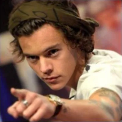 De quoi Harry a-t-il eu peur lors du  Take Me Home  en Allemagne ?