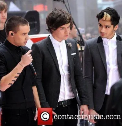 Qui est cens tre le  bad boy  du groupe ?