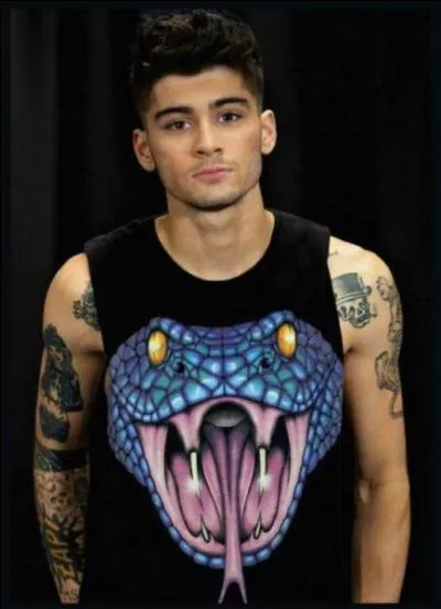 Quel est le membre des one direction sur la photo ?