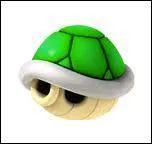 A quoi sert la carapace verte ?